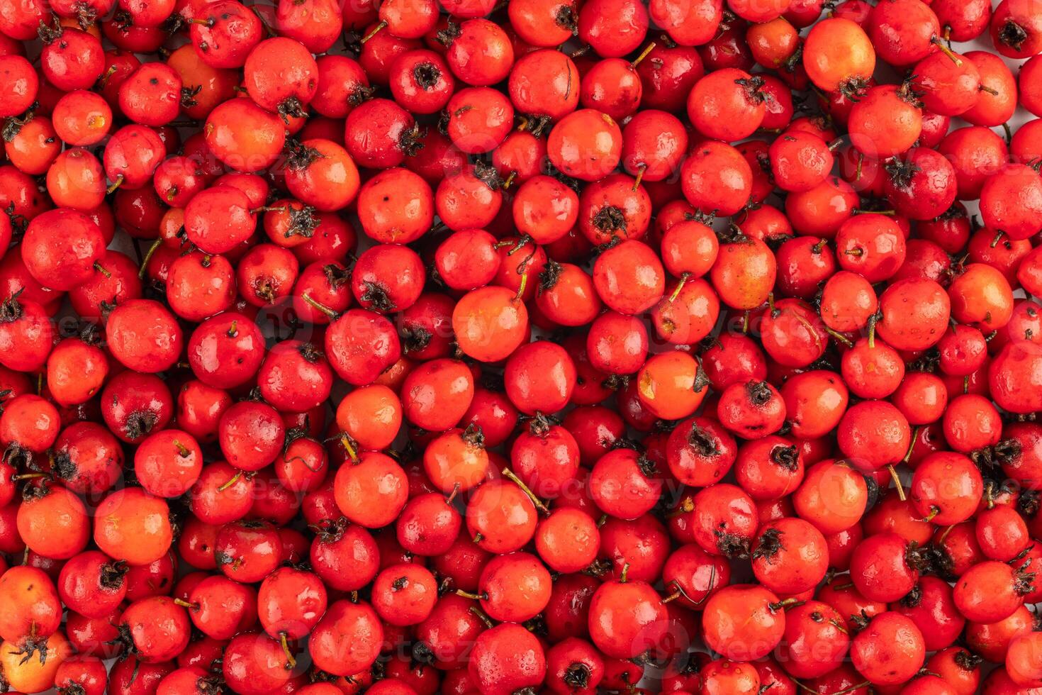 Stapel von rot Weißdorn Beeren voll Rahmen Hintergrund und Textur foto