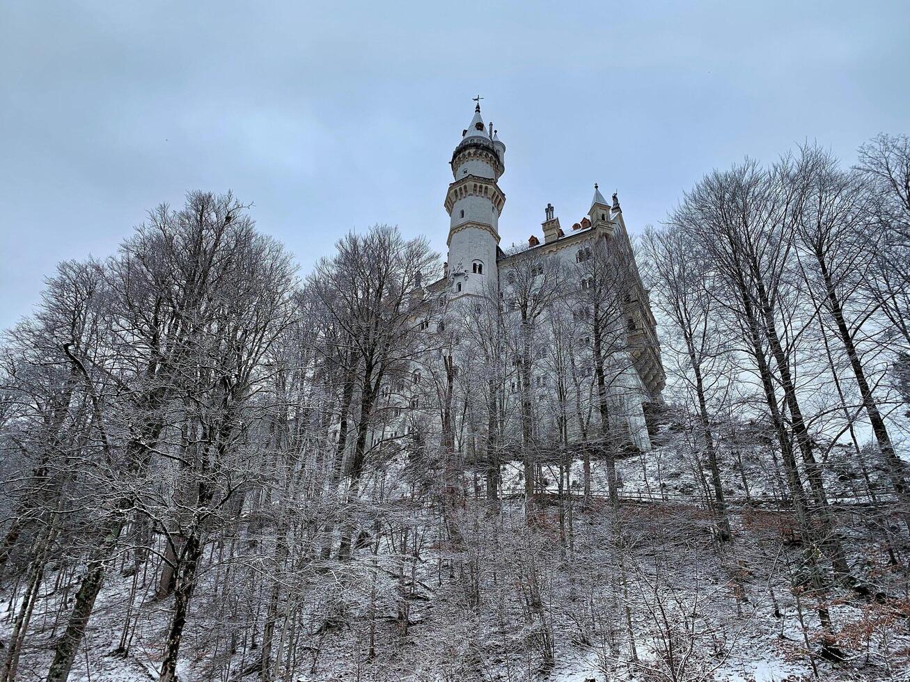 neuschwanstein Schloss während Winter Zeit. fotografiert von unter. foto