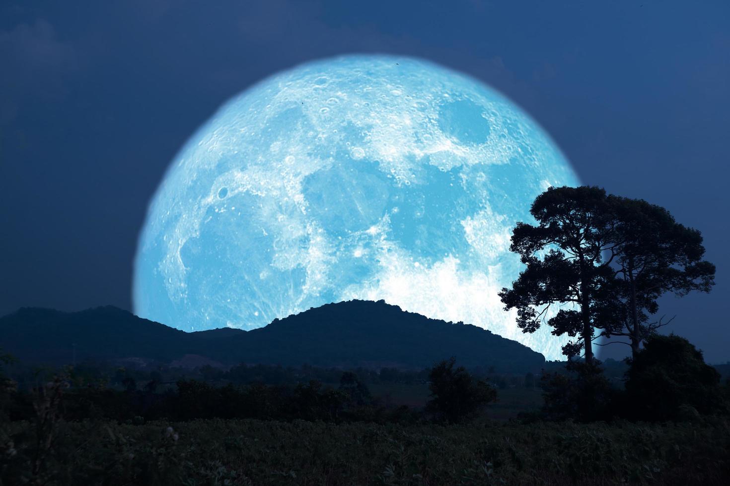 Supermais, der blauen Mond pflanzt, steigt zurück Silhouette Baum und Berg am Nachthimmel foto