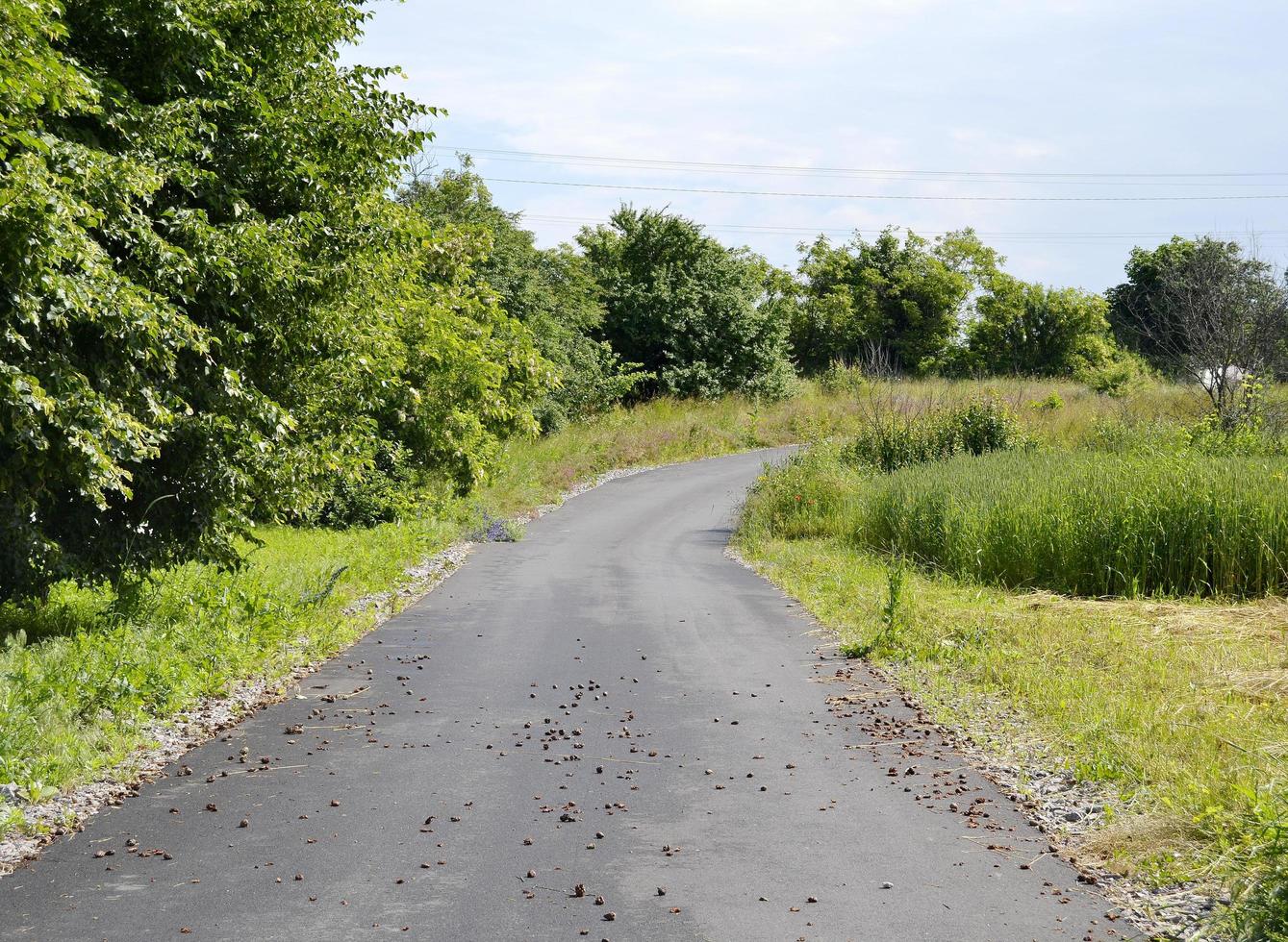 schöne leere Asphaltstraße in der Landschaft auf farbigem Hintergrund foto