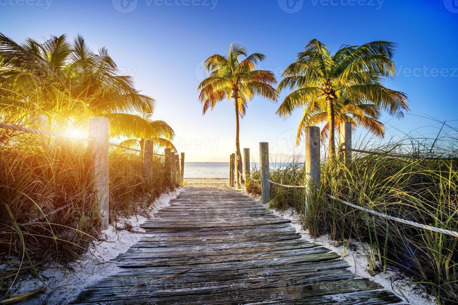 Weg zu das Strand foto