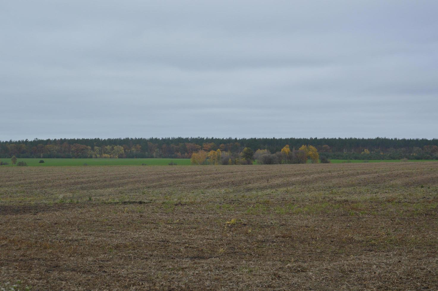 Landschaft eines im Herbst abgeernteten Feldes in einem Dorf foto