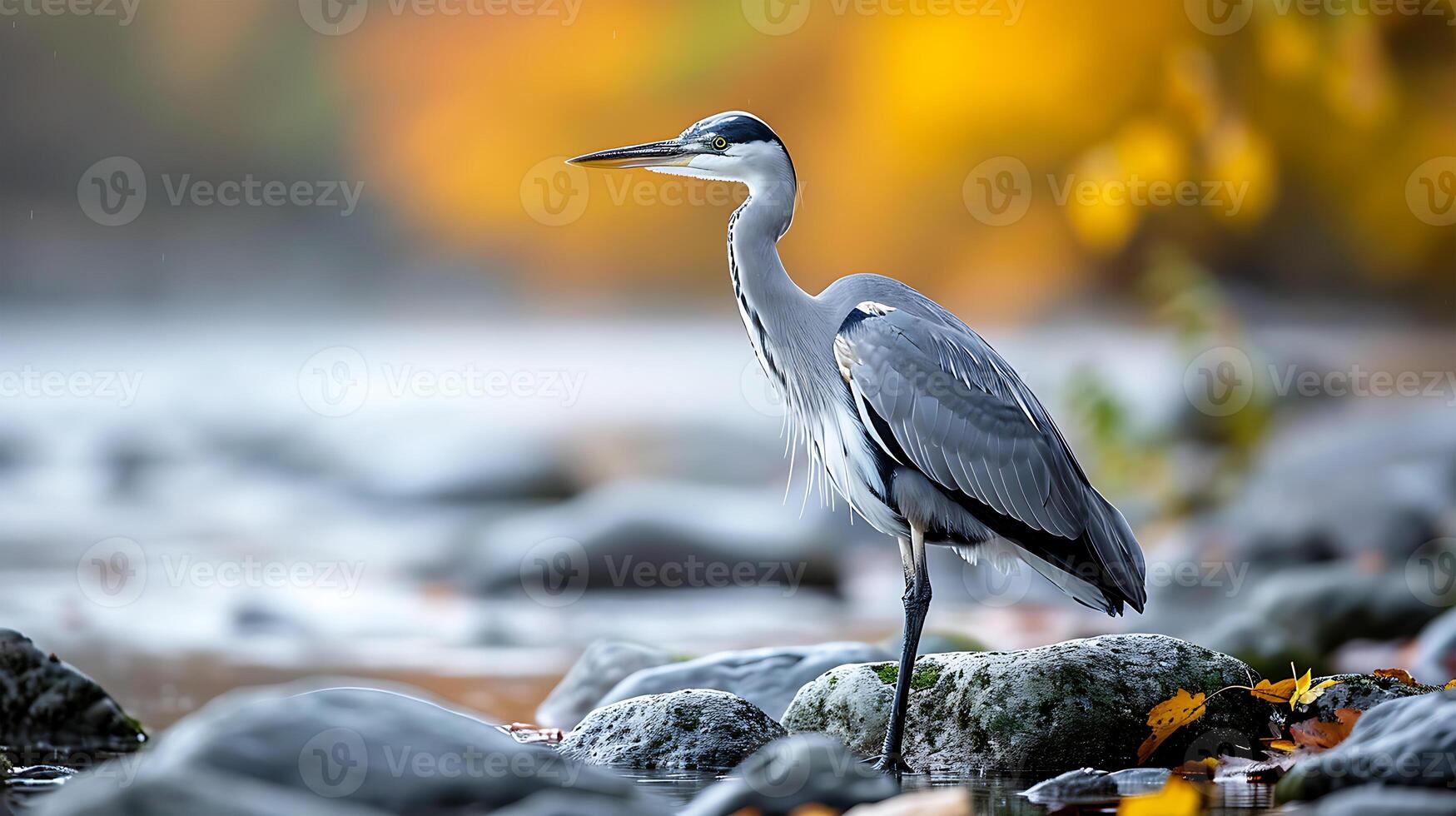 ai generiert Aussicht von ein schön Reiher Vogel foto