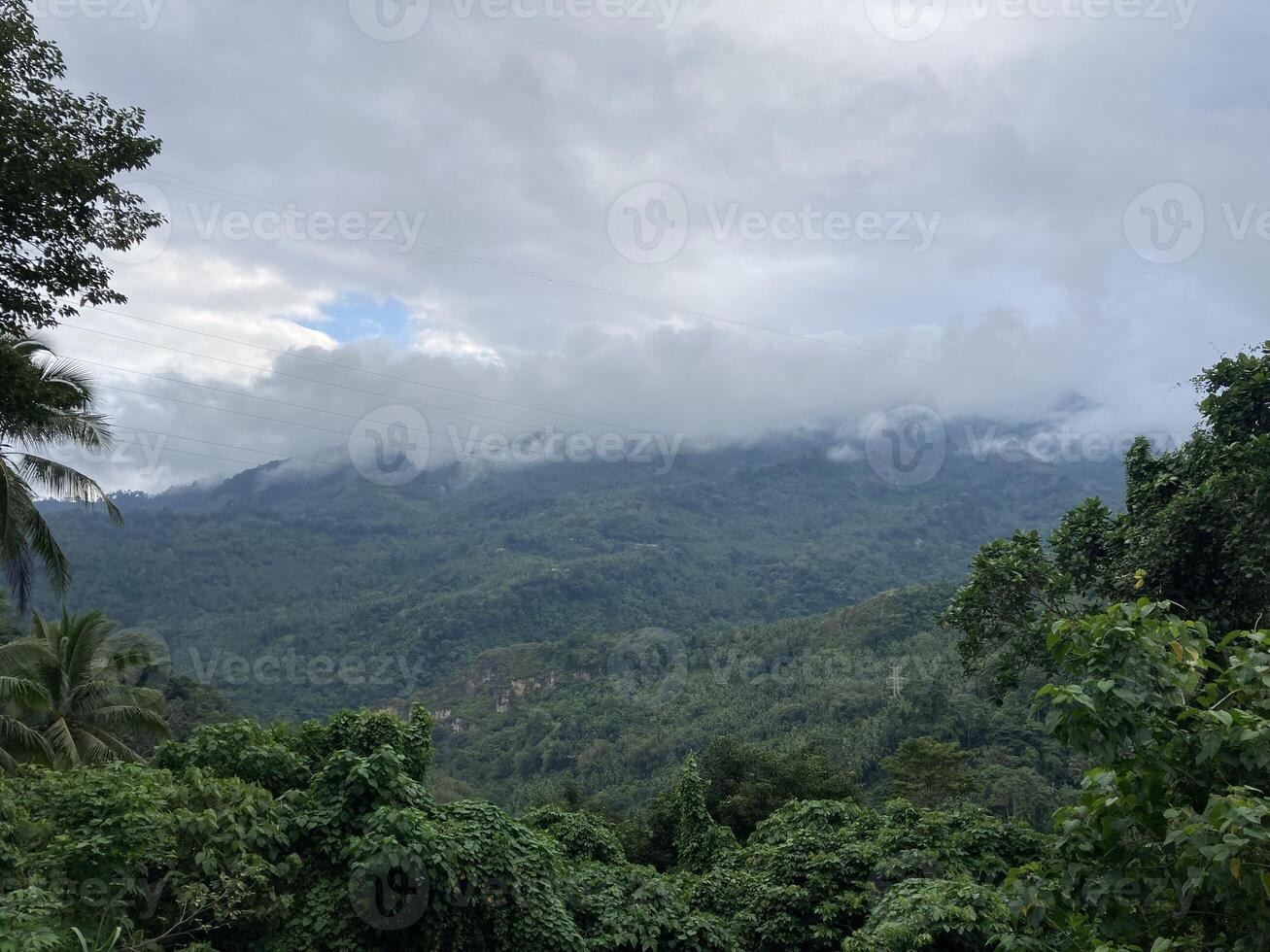 tropisch Berge bedeckt mit Urwald niedrig Wolken von Palme Bäume und tropisch Pflanzen foto