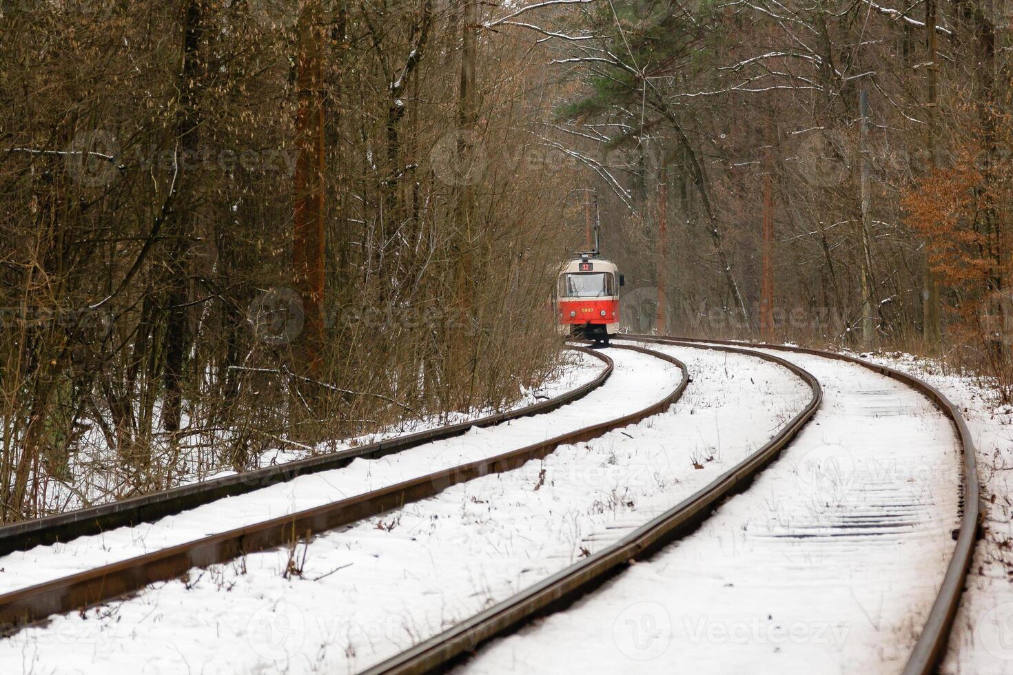 rauschende Straßenbahn durch den Winterwald foto