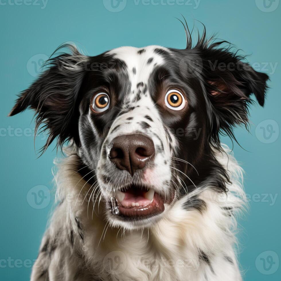 ai generiert neugierig und bezaubernd Nahansicht Foto von ein überrascht Hund mit ein ausdrucksvoll und fesselnd Ausdruck