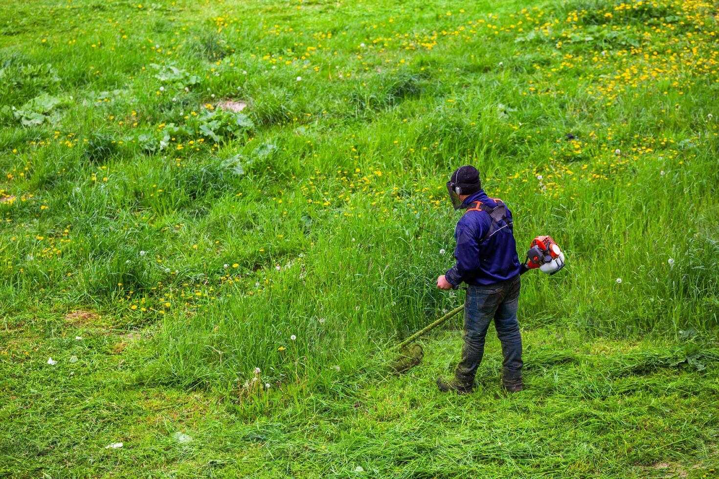 Rasenmäher Mann mit Zeichenfolge Trimmer Trimmen Gras beim sonnig Tag foto