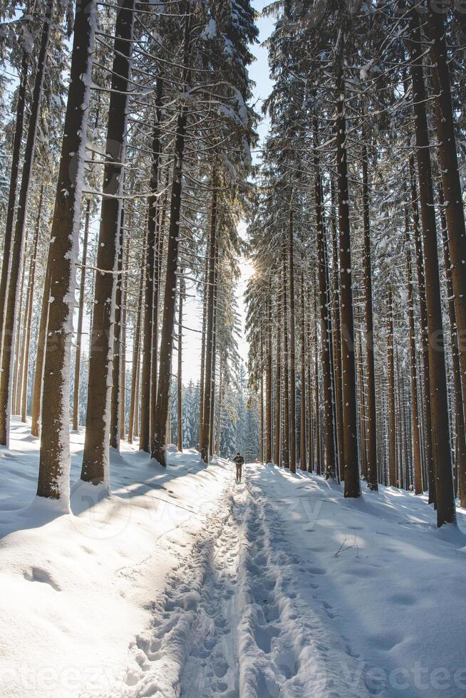 mittleren Alters Querfeldein Skifahrer alt 50-55 macht seine besitzen Spur im tief Schnee im das Wildnis im das Morgen sonnig Wetter im Beskiden Berge, Tschechisch Republik foto