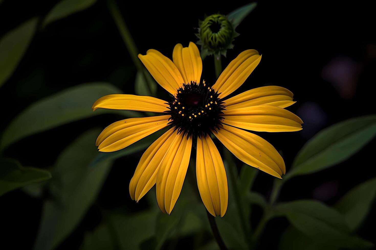 ai generiert schwarzäugig Susan - - Rudbeckia hirta - - Blume einheimisch zu Norden Amerika - - bekannt zum ihr hell Gelb Blütenblätter und dunkel Zentren. ein Symbol von Ermutigung und Motivation foto