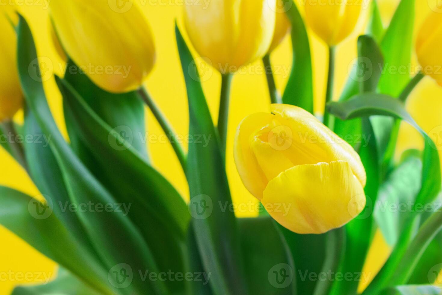 Strauß von Gelb Frühling Tulpen mit Blumen zum Geschenk auf Hintergrund. Urlaub. Mütter und International Damen, Valentinstag Tag. Kopieren Raum foto