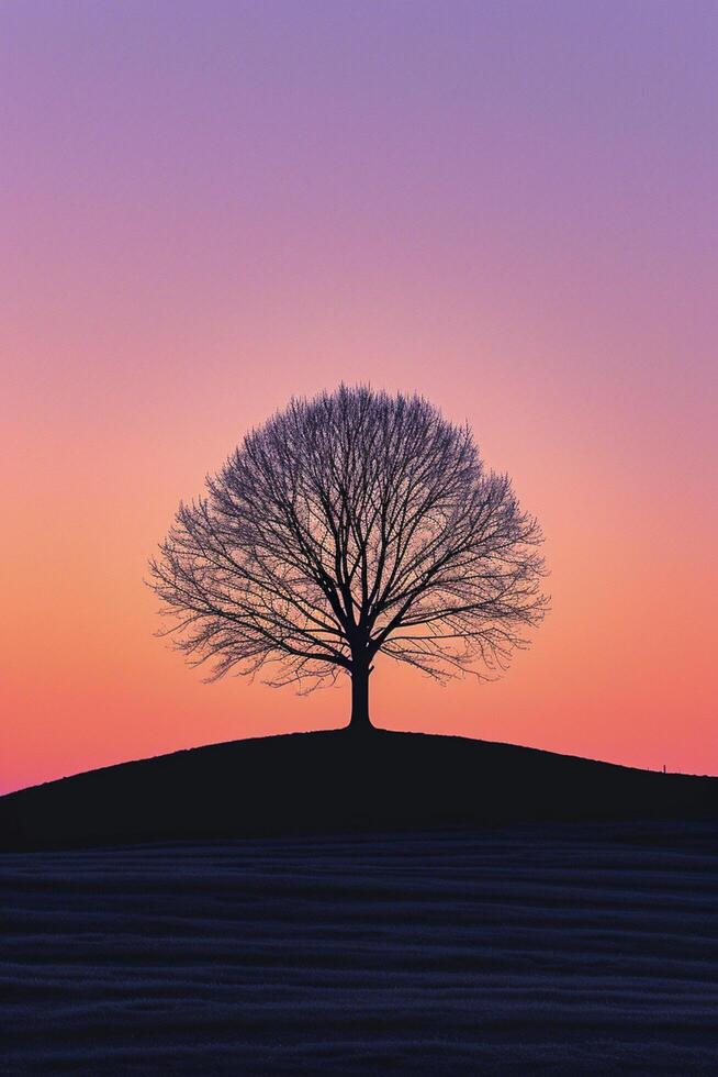 ai generiert einsam Baum silhouettiert gegen ein Gradient Sonnenuntergang Himmel ai generiert foto