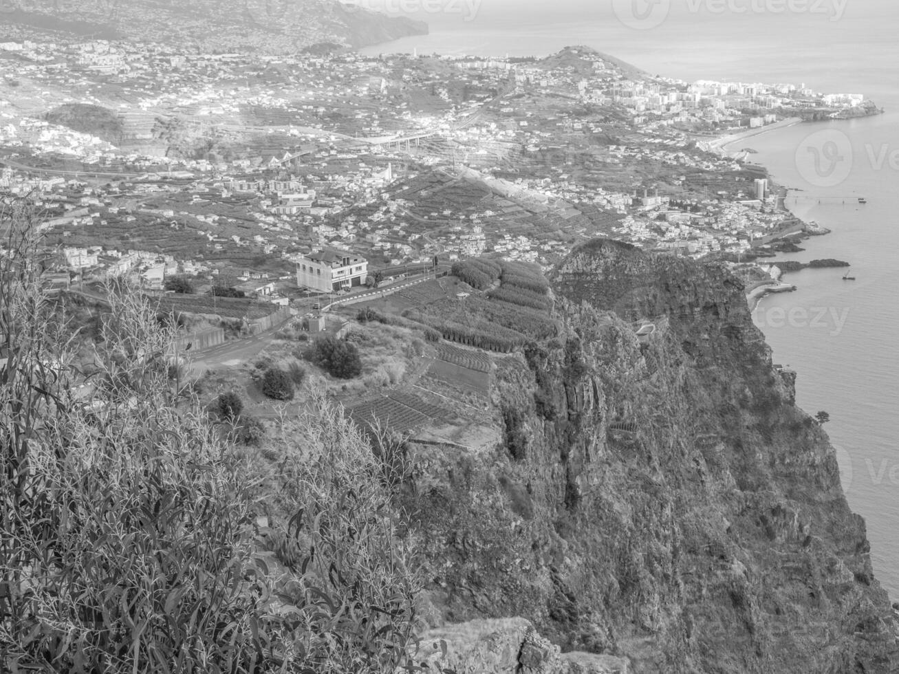 die Insel Madeira foto