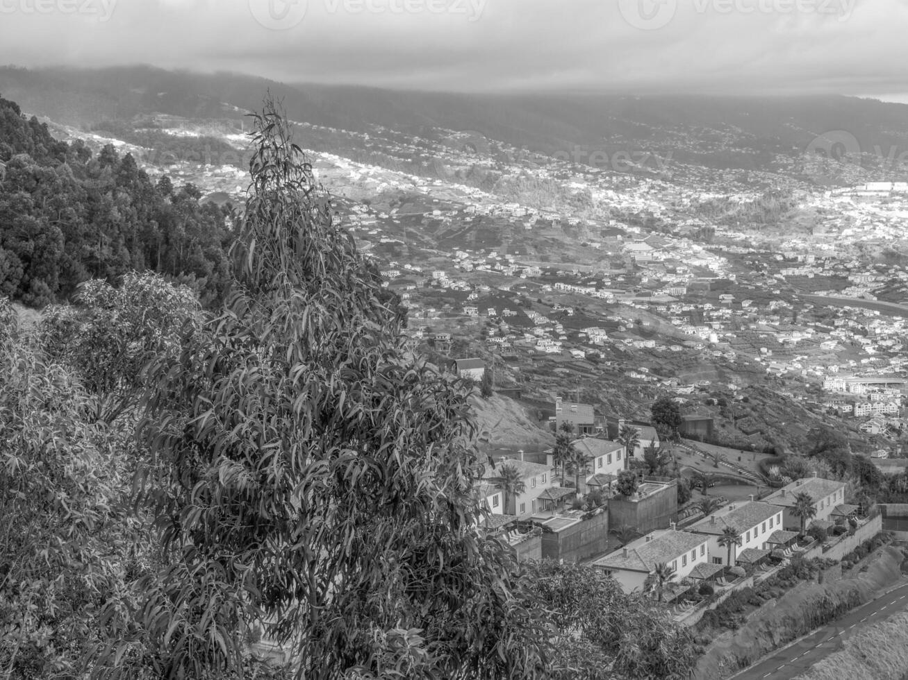 Madeira-Insel in Portugal foto