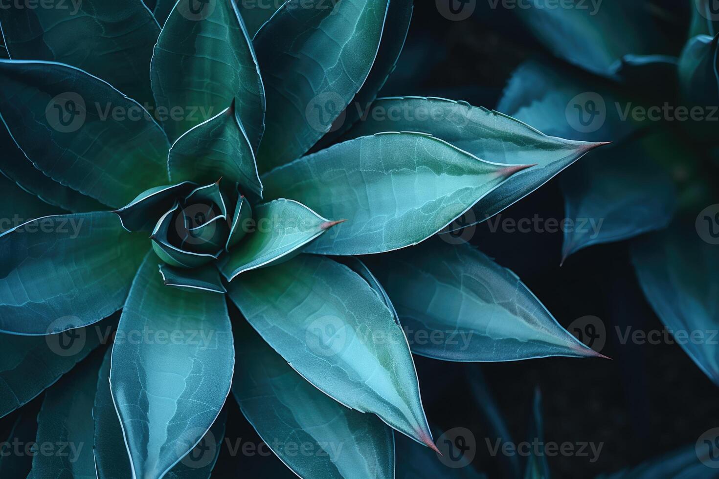 ai generiert üppig und überschwänglich Agave und Kaktus Blätter foto