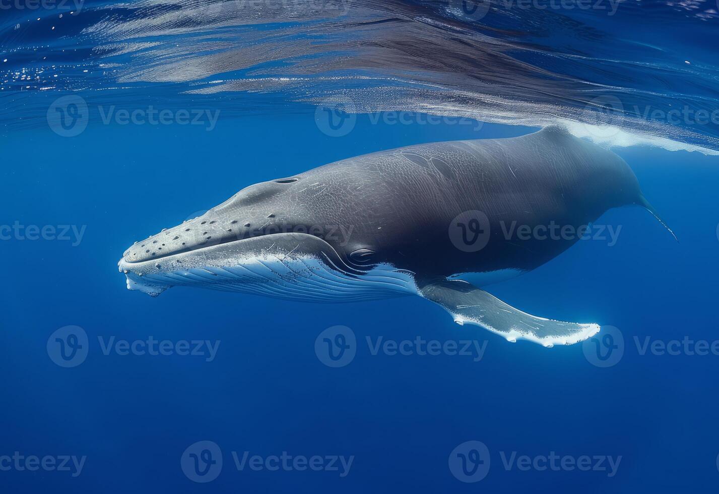 ai generiert ein natürlich Sicht wie ein Blau Wal schwimmt im das Weite von das Ozean foto