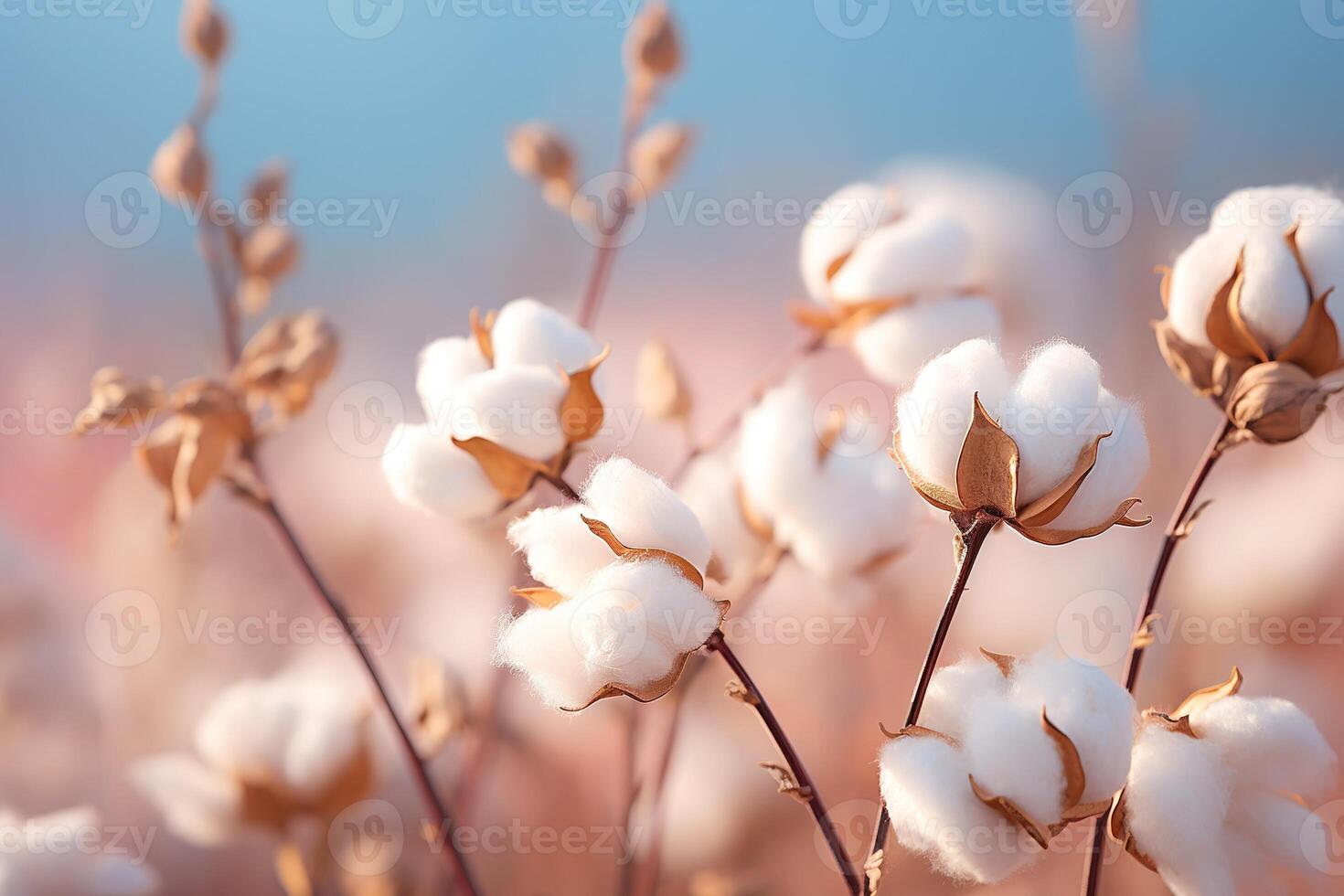 ai generiert Nahansicht von ein flauschige Baumwolle Zweig im ein organisch Feld auf ein verschwommen Hintergrund foto