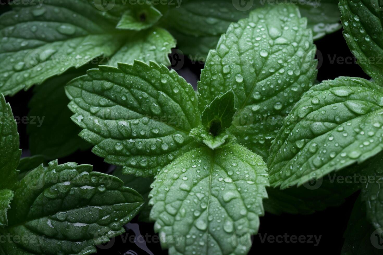 ai generiert frisch Minze Blätter mit Wassertropfen Makro Hintergrund, Pfefferminze schließen oben Sicht. ai generiert. foto