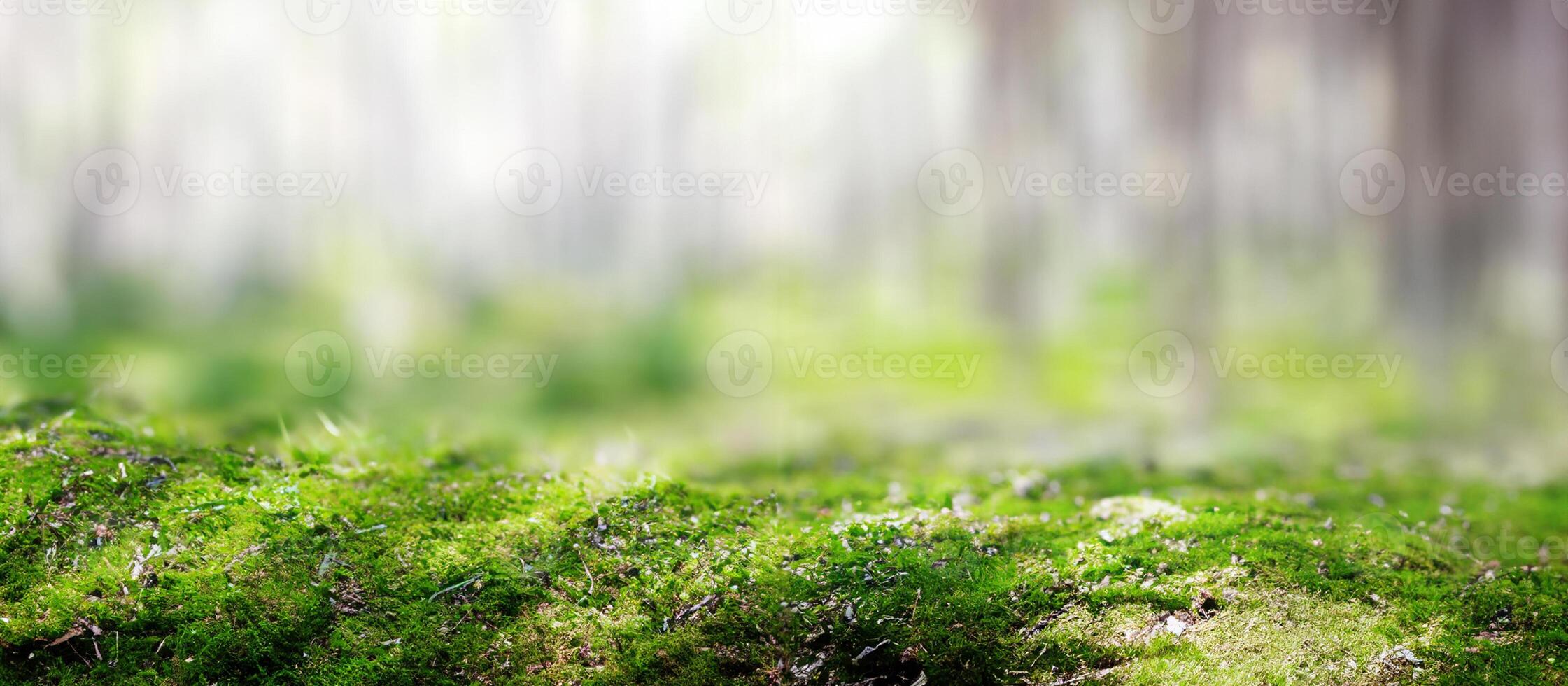 Grün Ökologie Hintergrund foto