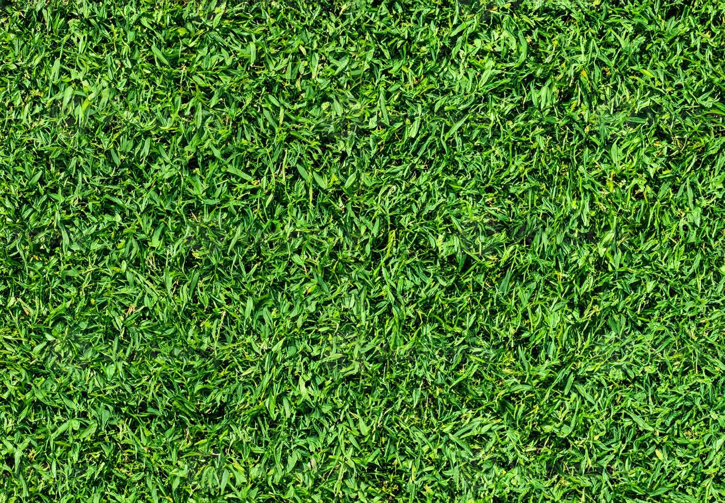 natürlich Grün Gras Textur Hintergrund schließen oben oben Aussicht foto