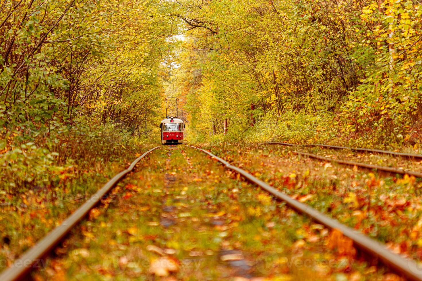 Herbst Wald durch welche ein alt Straßenbahn Fahrten Ukraine foto