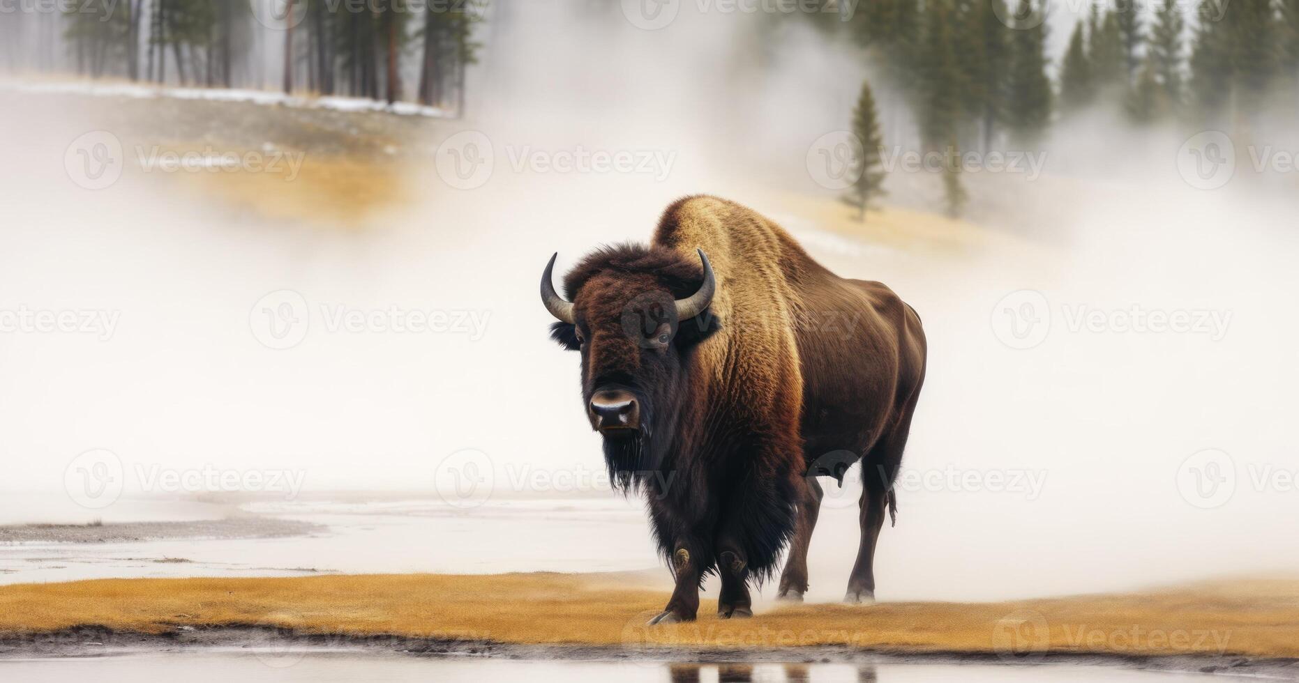 ai generiert das auffällig Gegenwart von ein Bison im ein nebelig Feld durch ein heiß Frühling foto