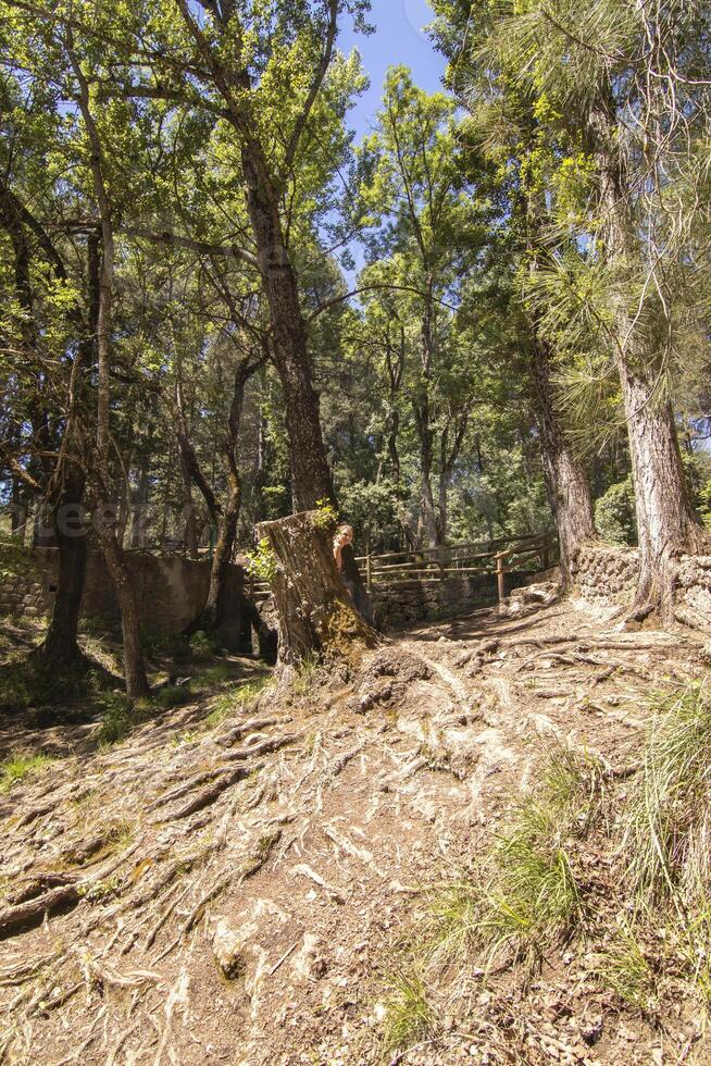 Landschaften und Wanderwege von das schön Natur von das Sierra de Cazorla, jaen, Spanien. Natur Ferien Konzept. foto