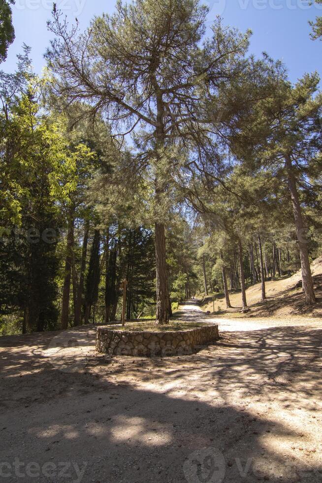 Landschaften und Wanderwege von das schön Natur von das Sierra de Cazorla, jaen, Spanien. Natur Ferien Konzept. foto