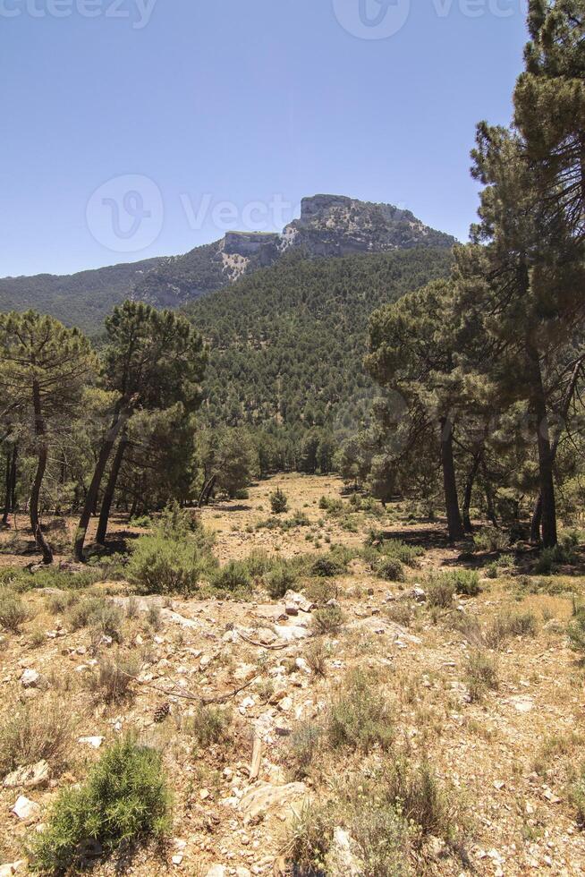 Landschaften und Wanderwege von das schön Natur von das Sierra de Cazorla, jaen, Spanien. Natur Ferien Konzept. foto