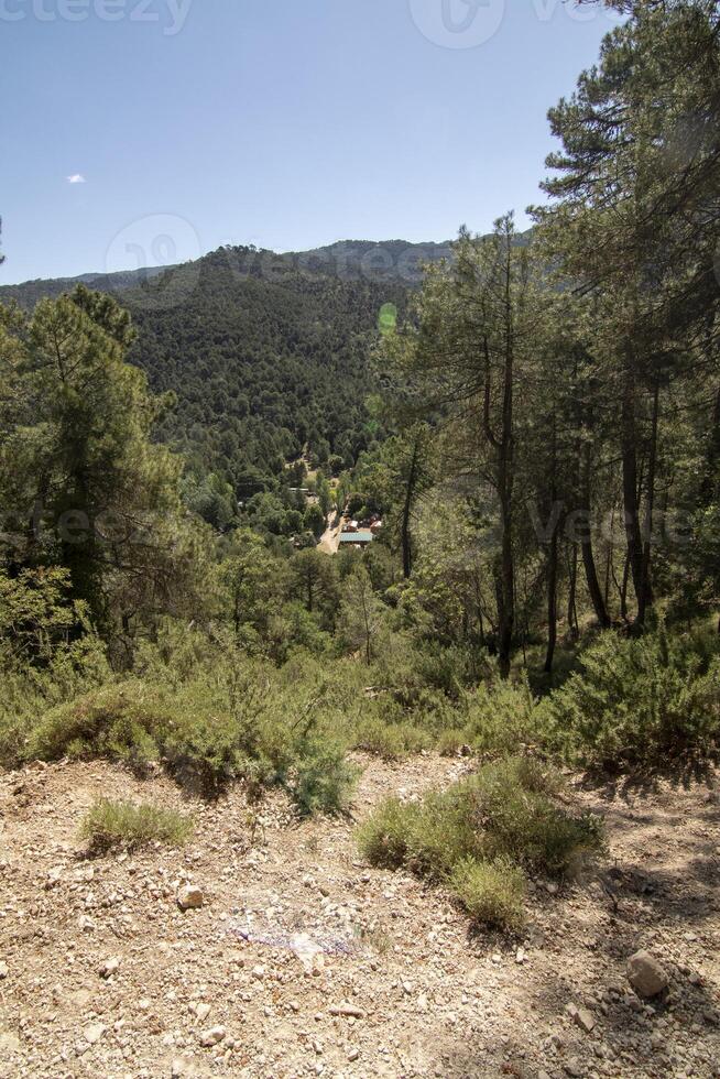 Landschaften und Wanderwege von das schön Natur von das Sierra de Cazorla, jaen, Spanien. Natur Ferien Konzept. foto