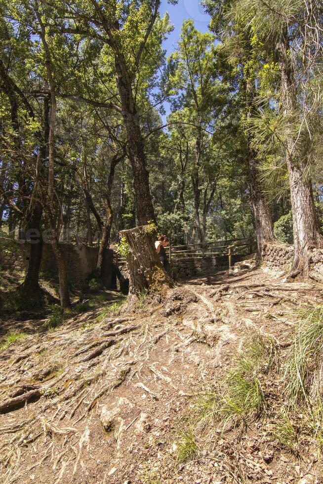 Landschaften und Wanderwege von das schön Natur von das Sierra de Cazorla, jaen, Spanien. Natur Ferien Konzept. foto