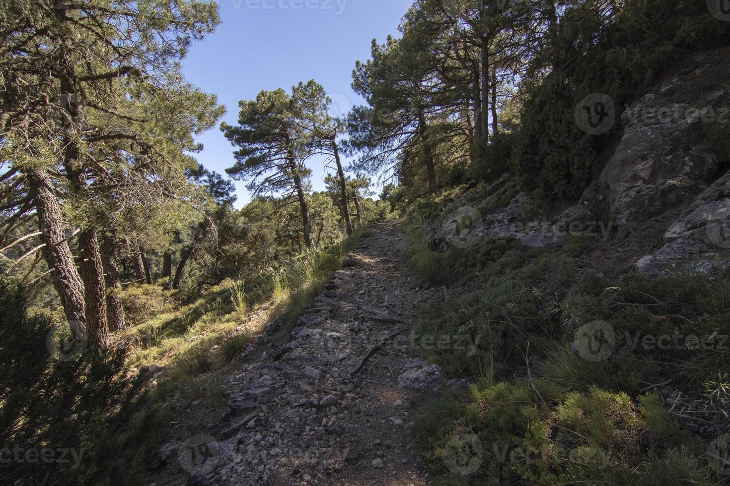 Landschaften und Wanderwege von das schön Natur von das Sierra de Cazorla, jaen, Spanien. Natur Ferien Konzept. foto