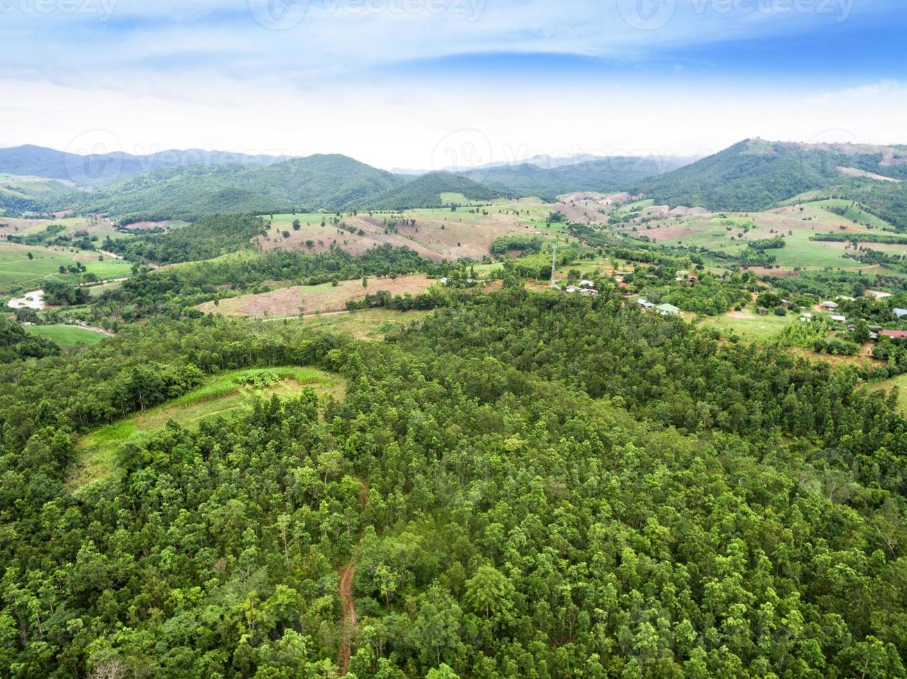 Luftaufnahme des wunderschönen tropischen Waldes, aufgenommen von einer Drohne foto