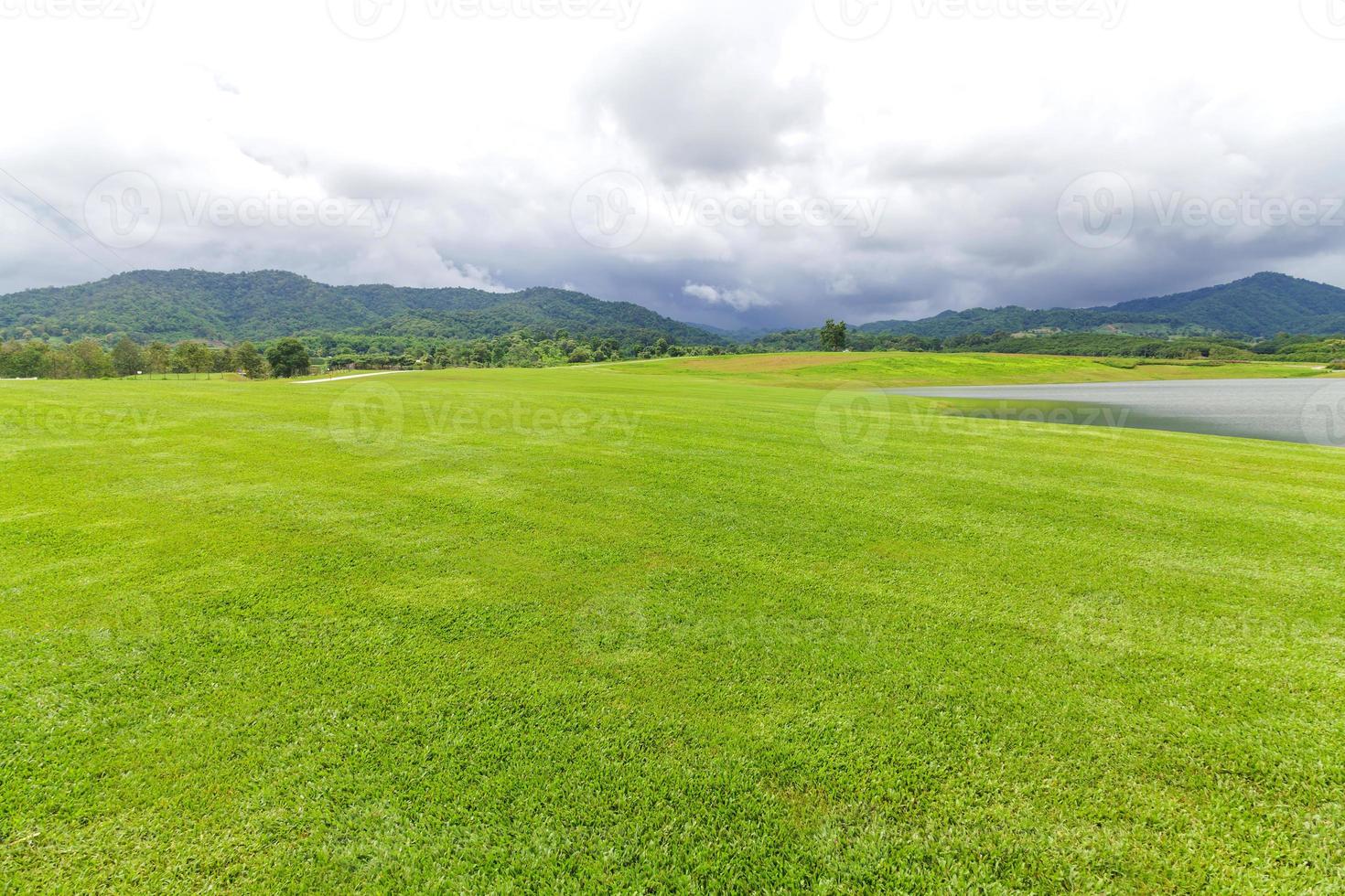 Landschaft mit grünem Rasen in einem schönen Garten foto