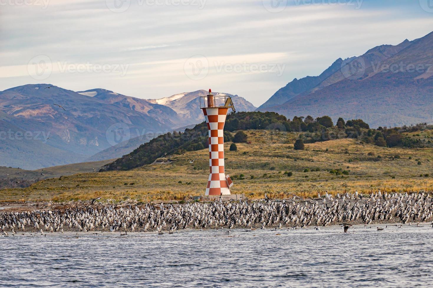 Panoramablick über eine Kolonie von Königskormoranen auf den Beagle-Kanalinseln mit einem Leuchtturm in Patagonien, in der Nähe von Ushuaia, Argentinien. foto