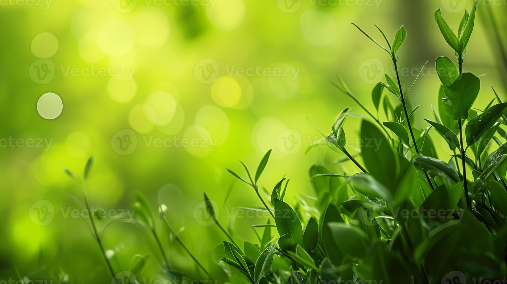 ai generiert sonnendurchflutet Laub, Federn grün Erwachen foto