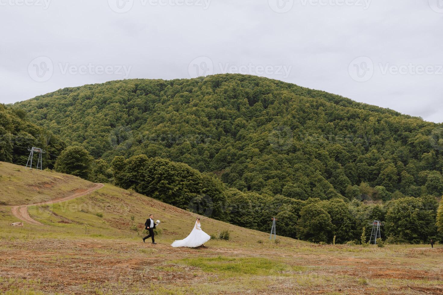 Porträt von ein jung Braut und Bräutigam Gehen auf Grün Gras gegen das Hintergrund von Berge nach das Hochzeit Zeremonie, Seite Sicht. glücklich Hochzeit Paar, Kopieren Raum. weiter Winkel Foto. foto
