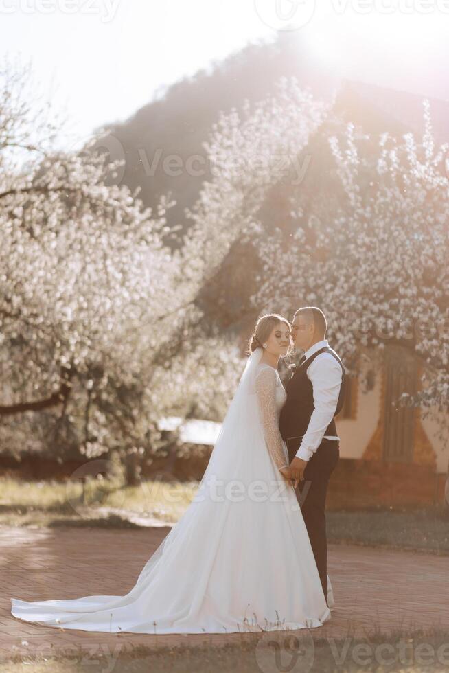 Hochzeit. Liebe und Paar im Garten zum Hochzeit. Feier von Zeremonie und Engagement. speichern das Datum. Vertrauen. das Bräutigam umarmt das Braut gegen das Hintergrund von Frühling blühen Bäume. foto