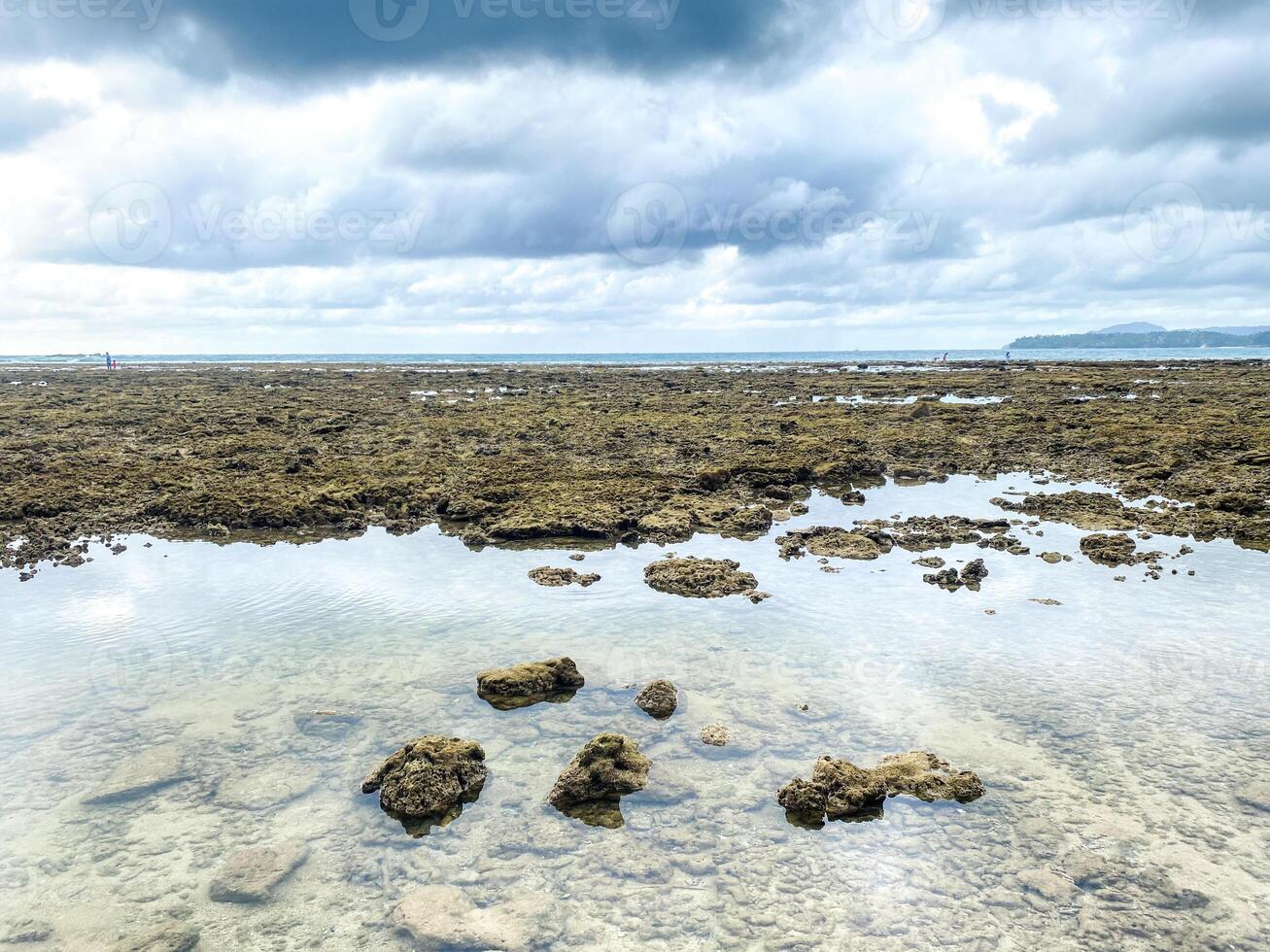 das Oberfläche von das Meer ist ein beschwingt Segeltuch von abstrakt Muster, wie Wellen brechen gegen das felsig Ufer, Bildung ein atemberaubend Hintergrund von der Natur Kunst. foto