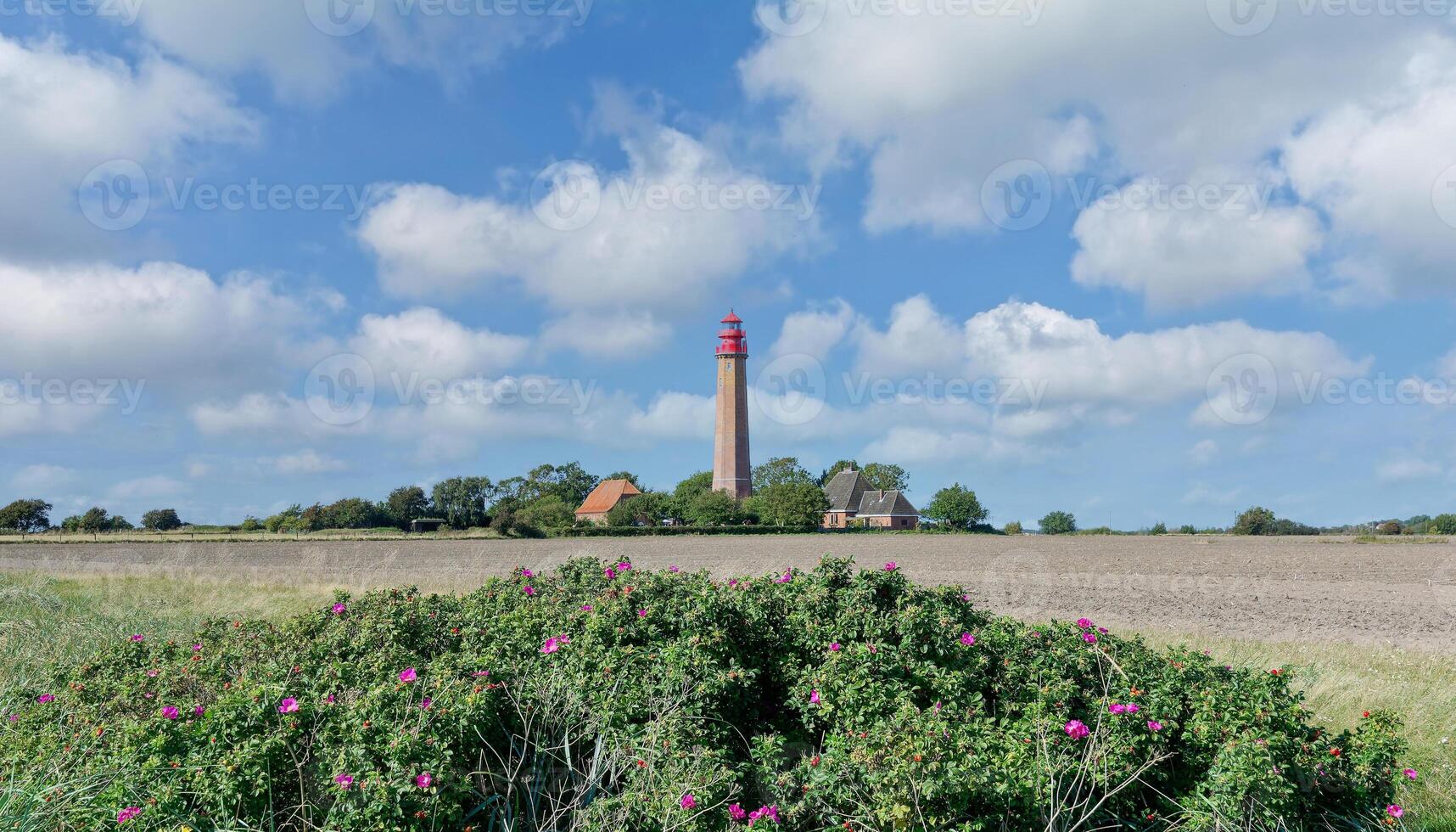 Leuchtturm von Flügge, Fehmarn, Ostsee Meer, Schleswig-Holstein, Deutschland foto