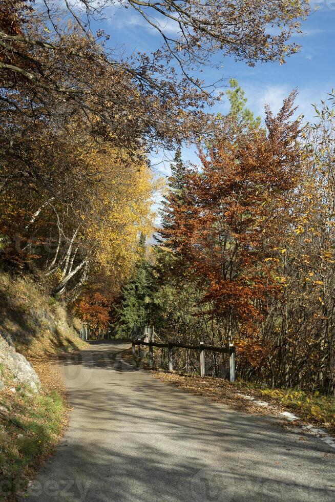 ein Straße mit ein Baum auf das Seite foto