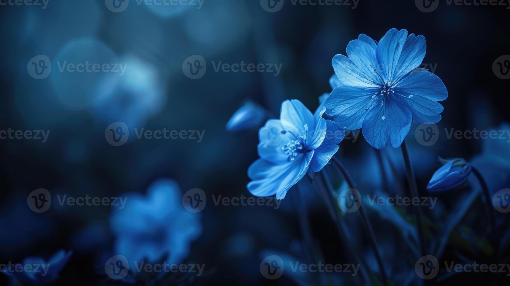 ai generiert Blau Blumen im das dunkel mit ein verschwommen bewirken erstellen ein mysteriös und zauberhaft Szene, ai generiert. foto