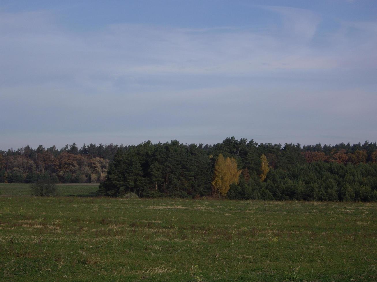 Panorama eines spätherbstlichen Feldes foto