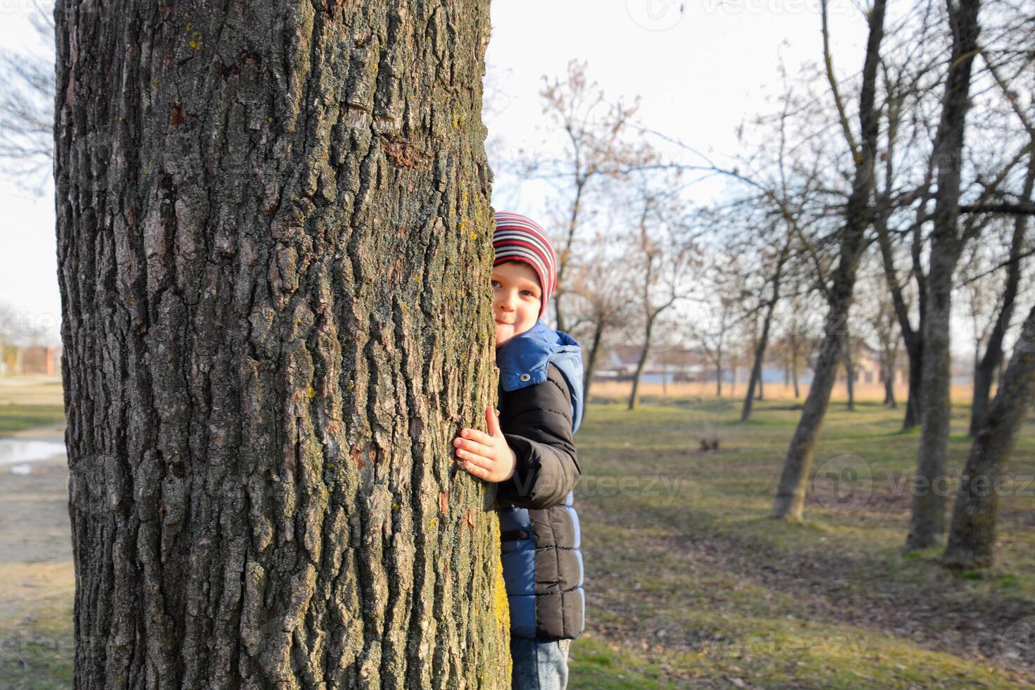 wenig Junge ist versteckt hinter ein groß Baum. ein Kind späht aus von hinter ein Baum Stamm. foto