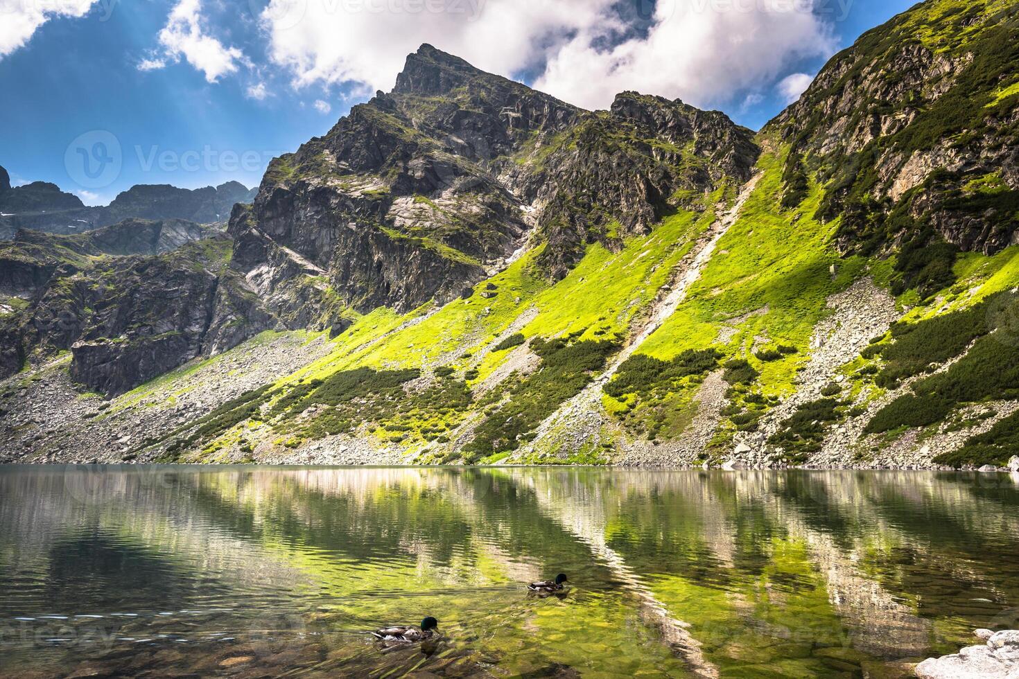 schön Landschaft von schwarz Teich gasförmig im tatra Berge foto