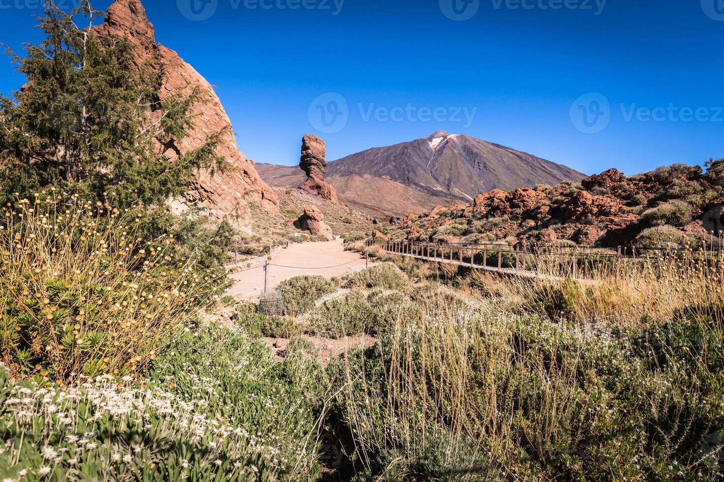 Vulkan Pico del Teide, el teide National Park, Teneriffa, Kanarienvogel Inseln, Spanien foto