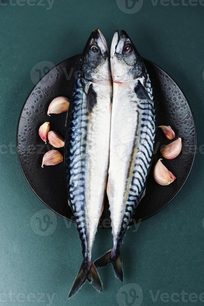 roh Makrele Fisch. foto