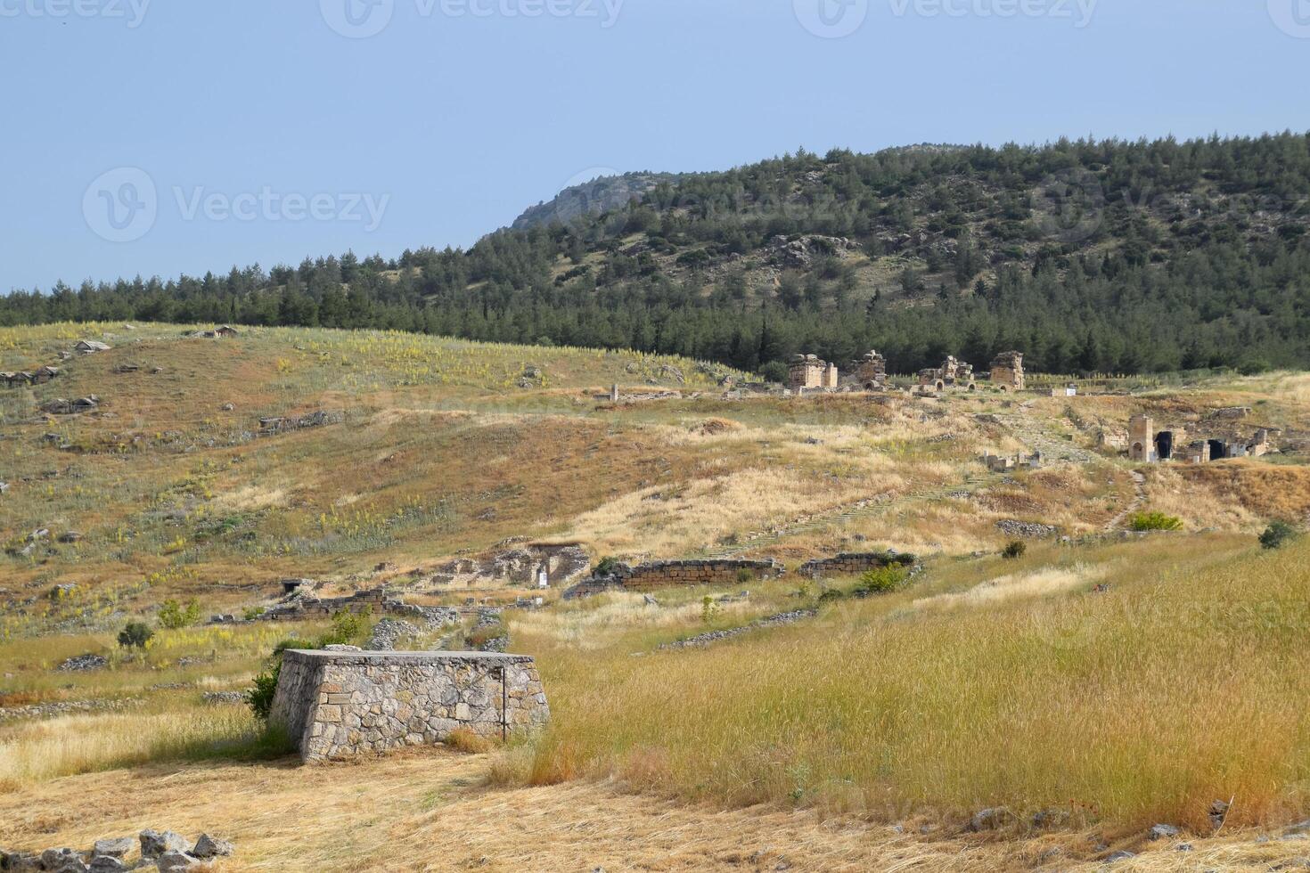 Antiquität Ruinen und Kalkstein Blöcke im Hierapolis, Truthahn. uralt Stadt. foto