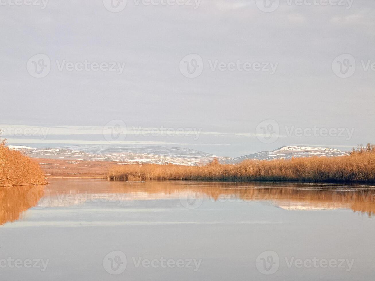 Fluss Landschaft früh Frühling. nackt Bäume, schmelzen Schnee. foto