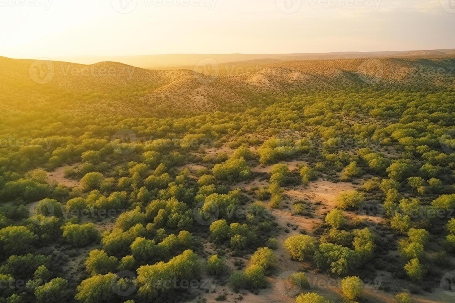 ai generiert Tod von das Wald, Dürre im das Wüste. Feature von ein Umwelt Katastrophe. foto