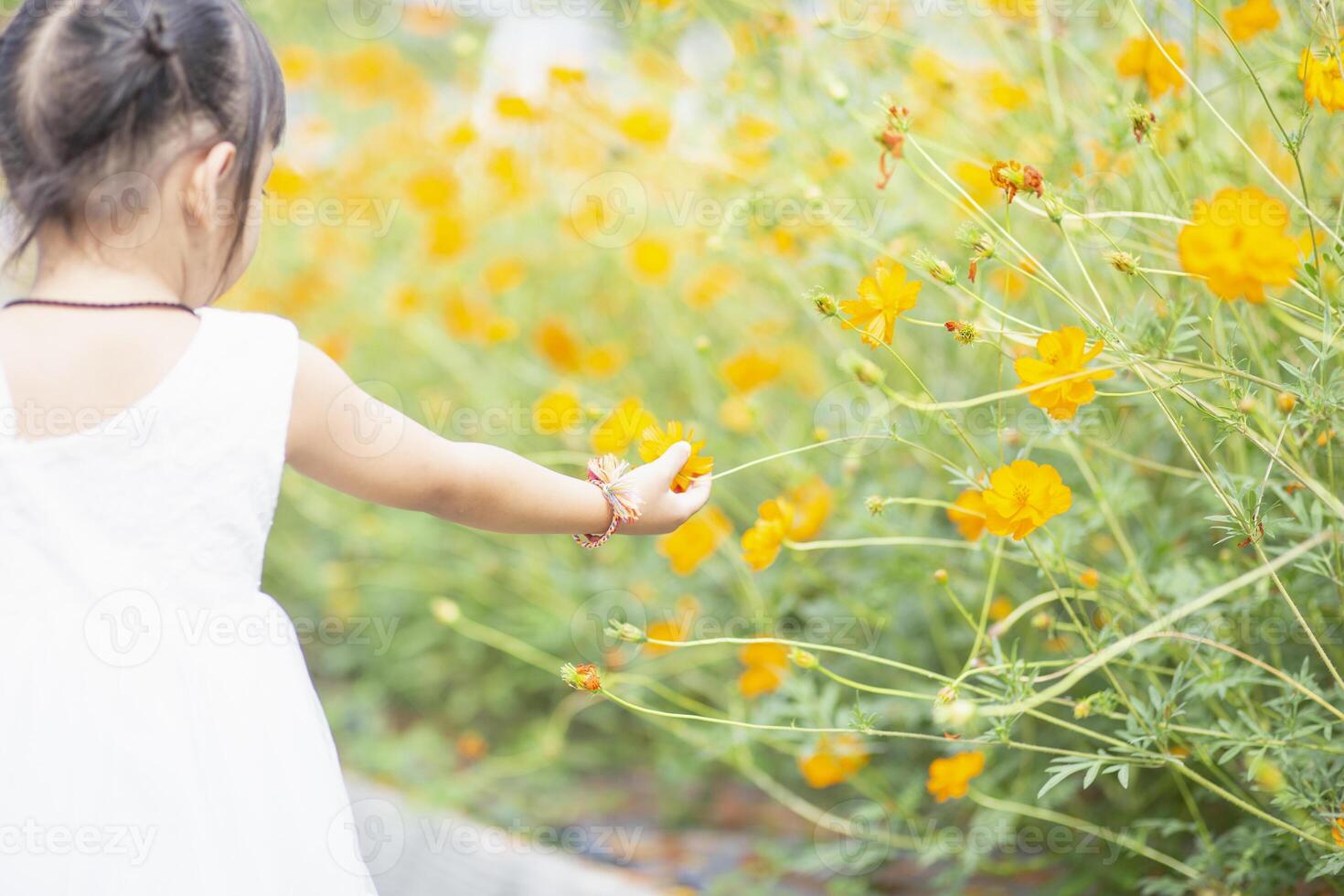 weiblich Hände berühren Blumen auf Hintergrund mit schön Blumen und Grün Blätter im das Garten. Damen Hände berühren und genießen das Schönheit von ein natürlich asiatisch Blume Garten. foto